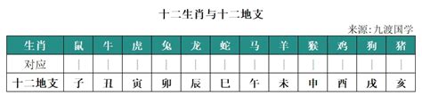 1989蛇|1989年出生属什么生肖 1989年属蛇是什么命